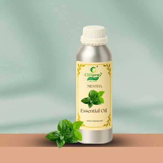 Mentha Essential Oil – Invigoration - CitSpray