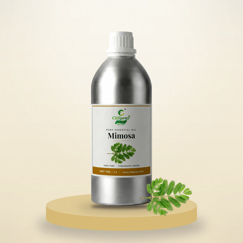 Mimosa essential oil by CitSpray in a 1 litre aluminium bottle with mimosa blossoms