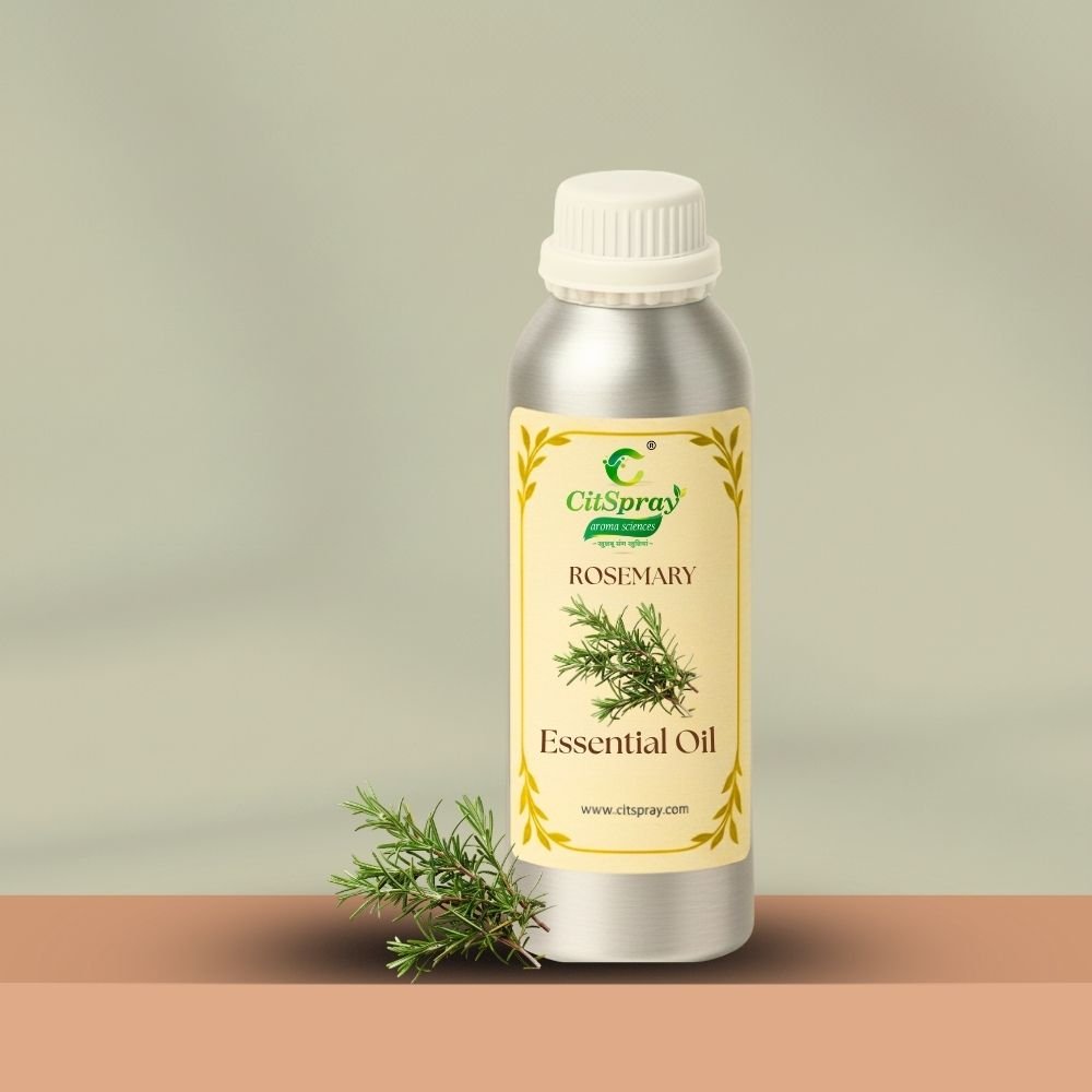 Rosemary Essential Oil – Hair Growth - CitSpray