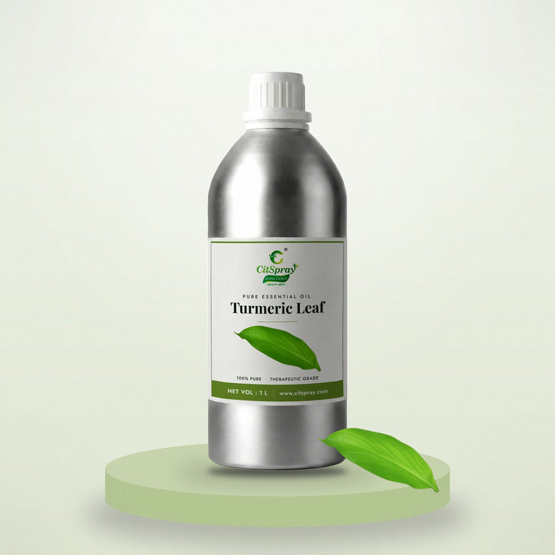 Turmeric leaf essential oil by CitSpray in a 1 litre aluminium bottle with turmeric leaves