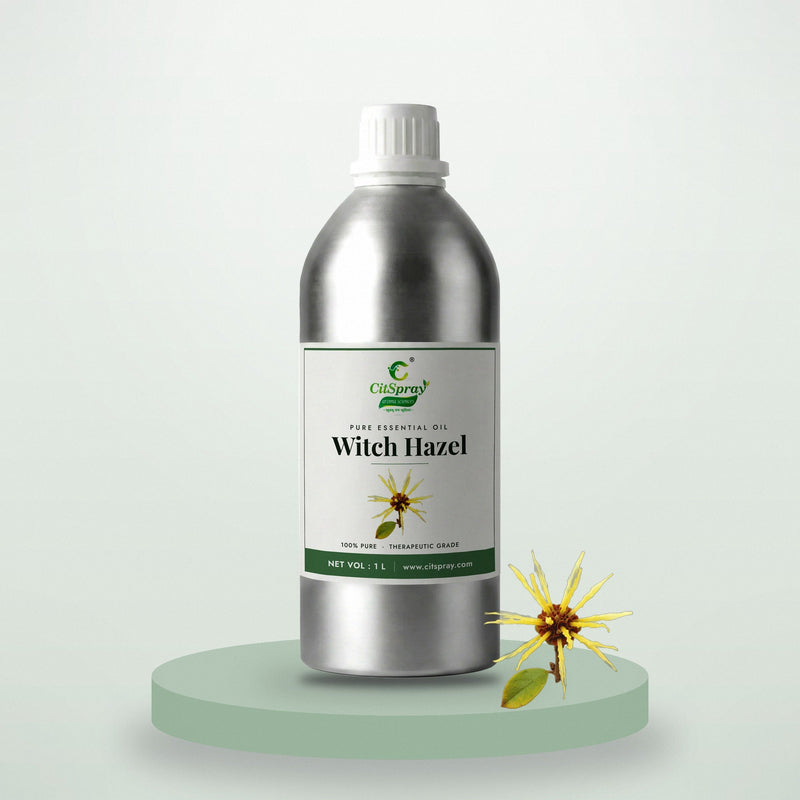 Witch Hazel essential oil by CitSpray in a 1 litre aluminium bottle with witch hazel branches