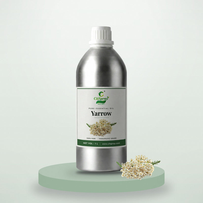 Yarrow essential oil by CitSpray in a 1 litre aluminium bottle with yarrow flowers